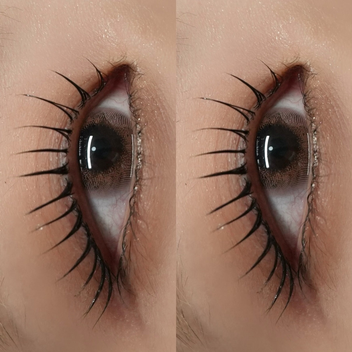 E.chic_eye