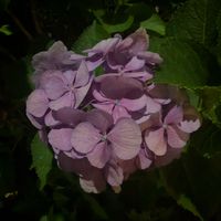 mill_23