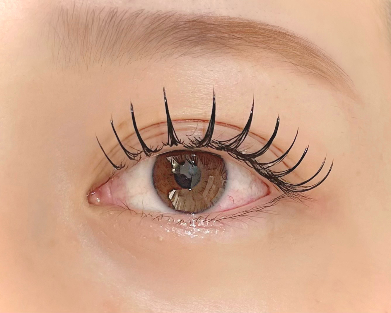 ugi.eyelash_sae