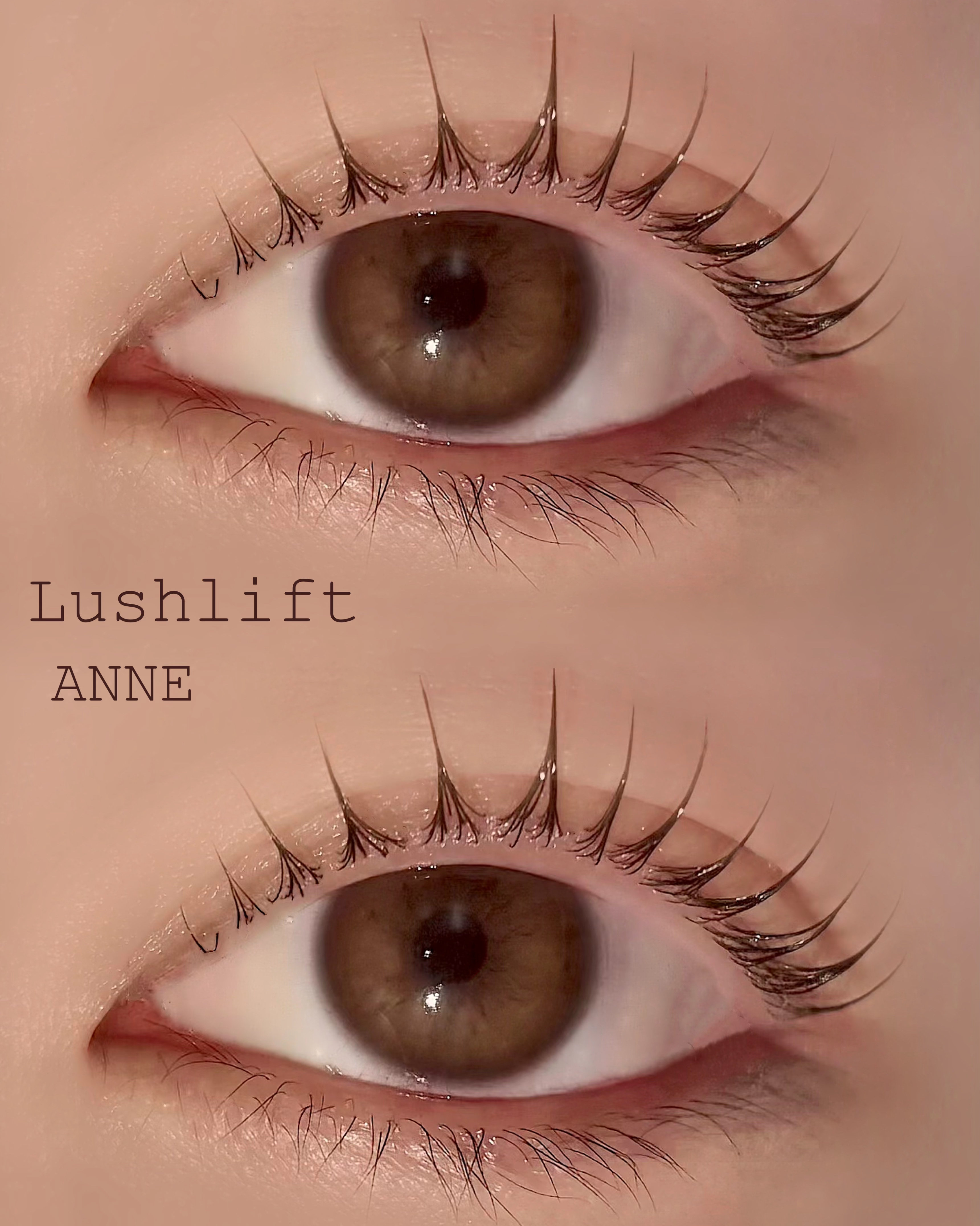 anne_chizu