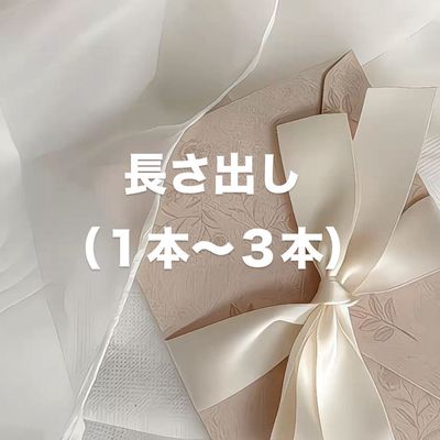 🫧長さだし（1～3本）🫧