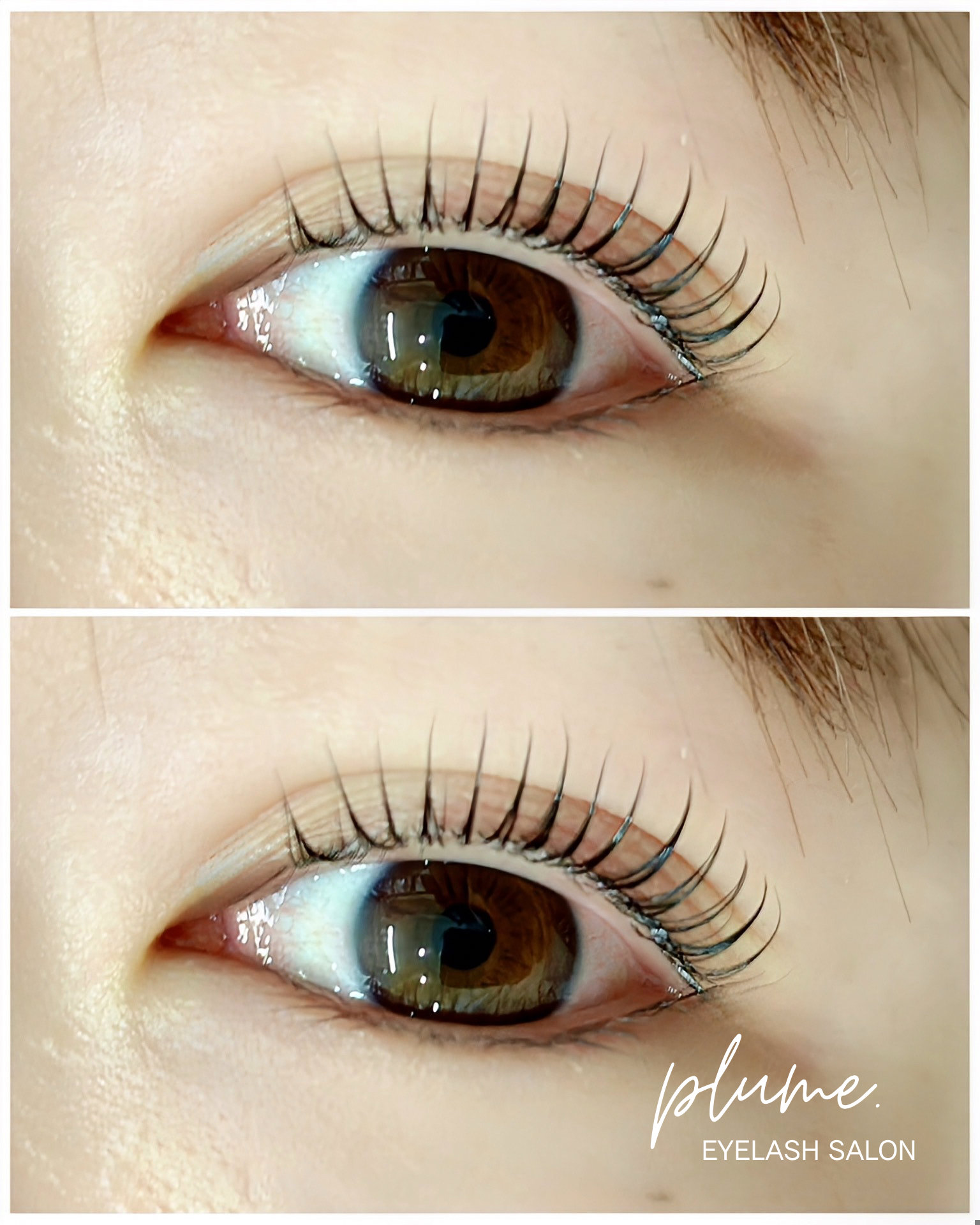 plume.eyelashsalon