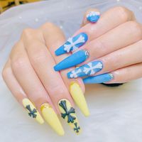 An_nail_01