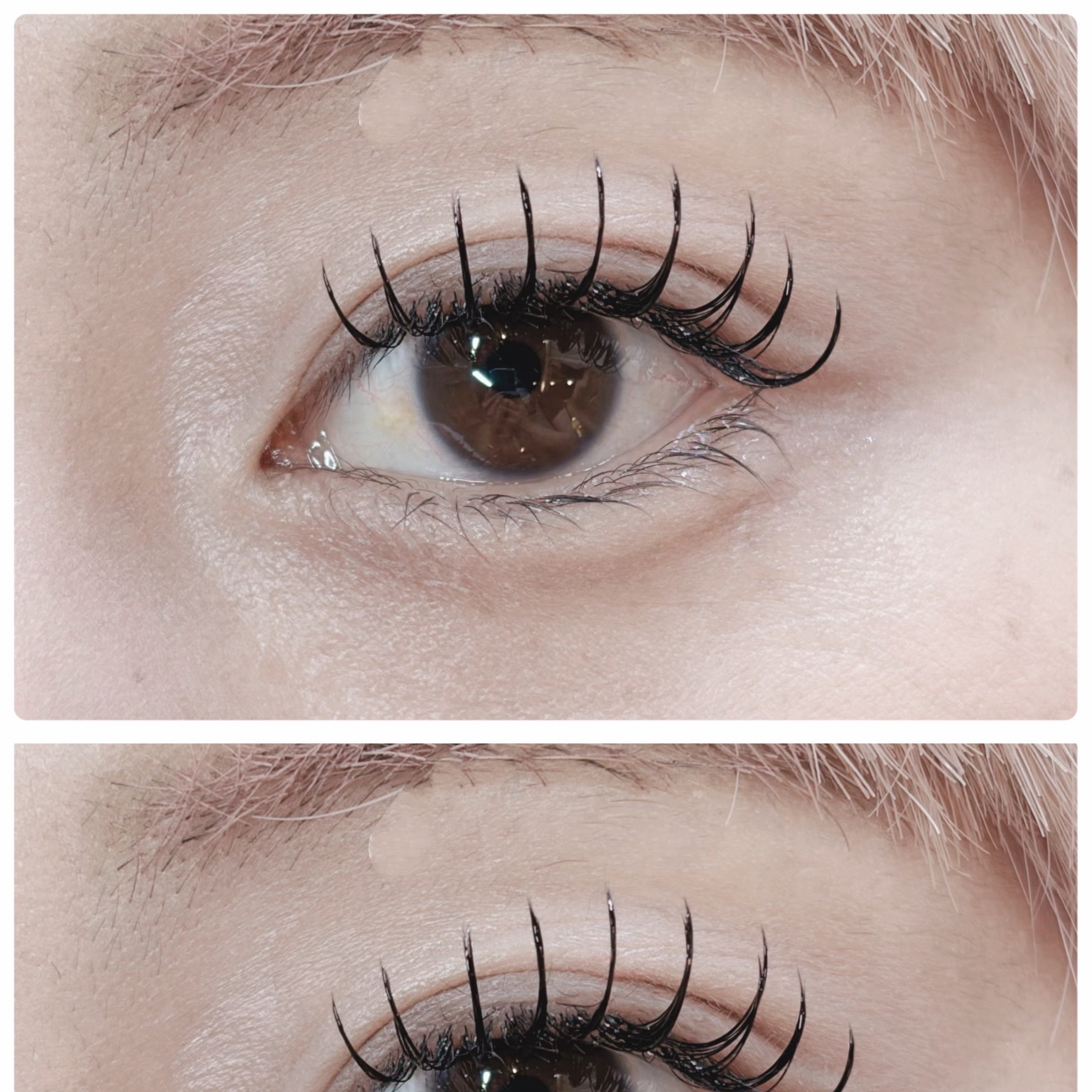 eyelash.ayumi