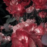 naam_.3