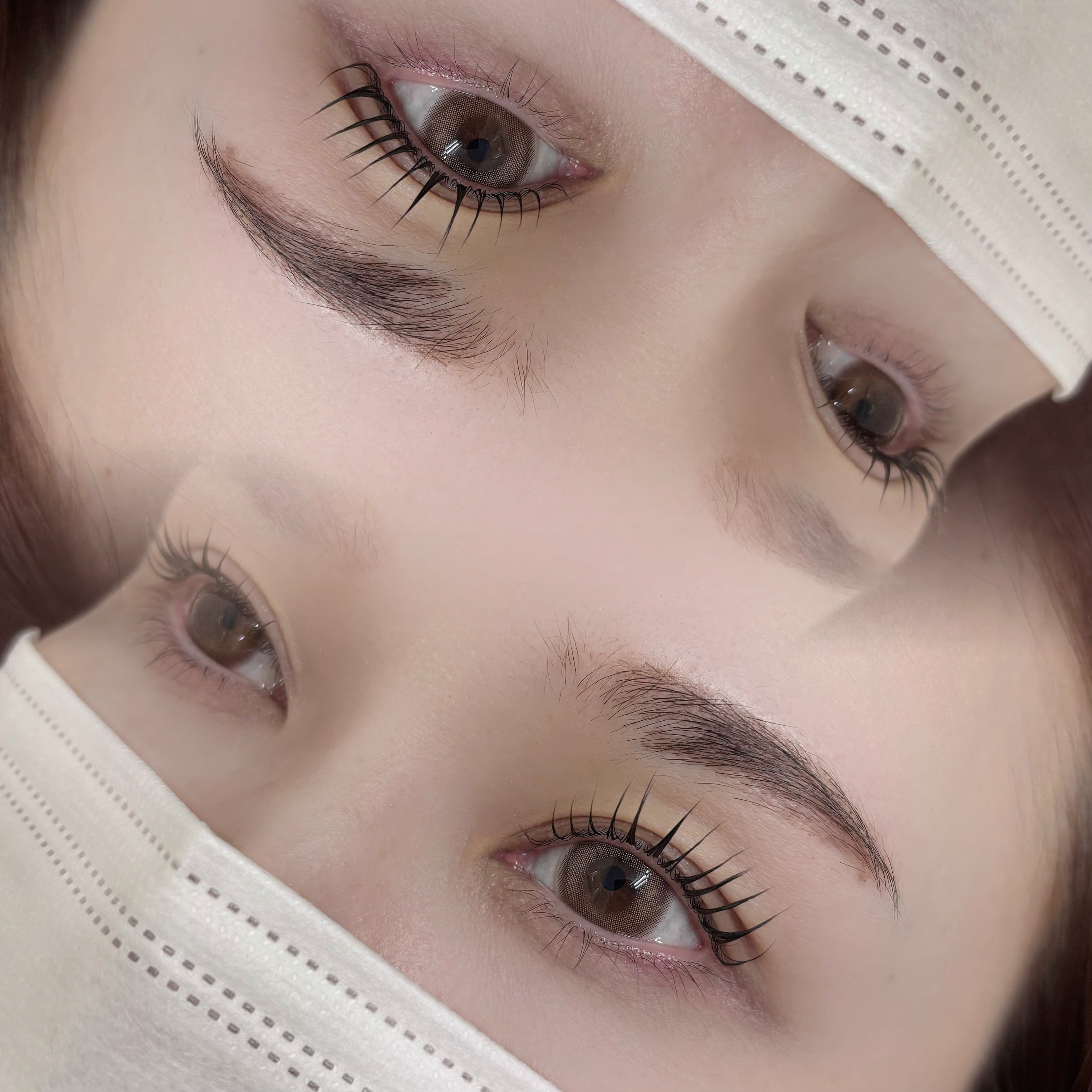 eyelash_moe