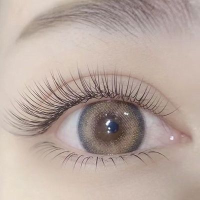 セーブル上90分つけ放題