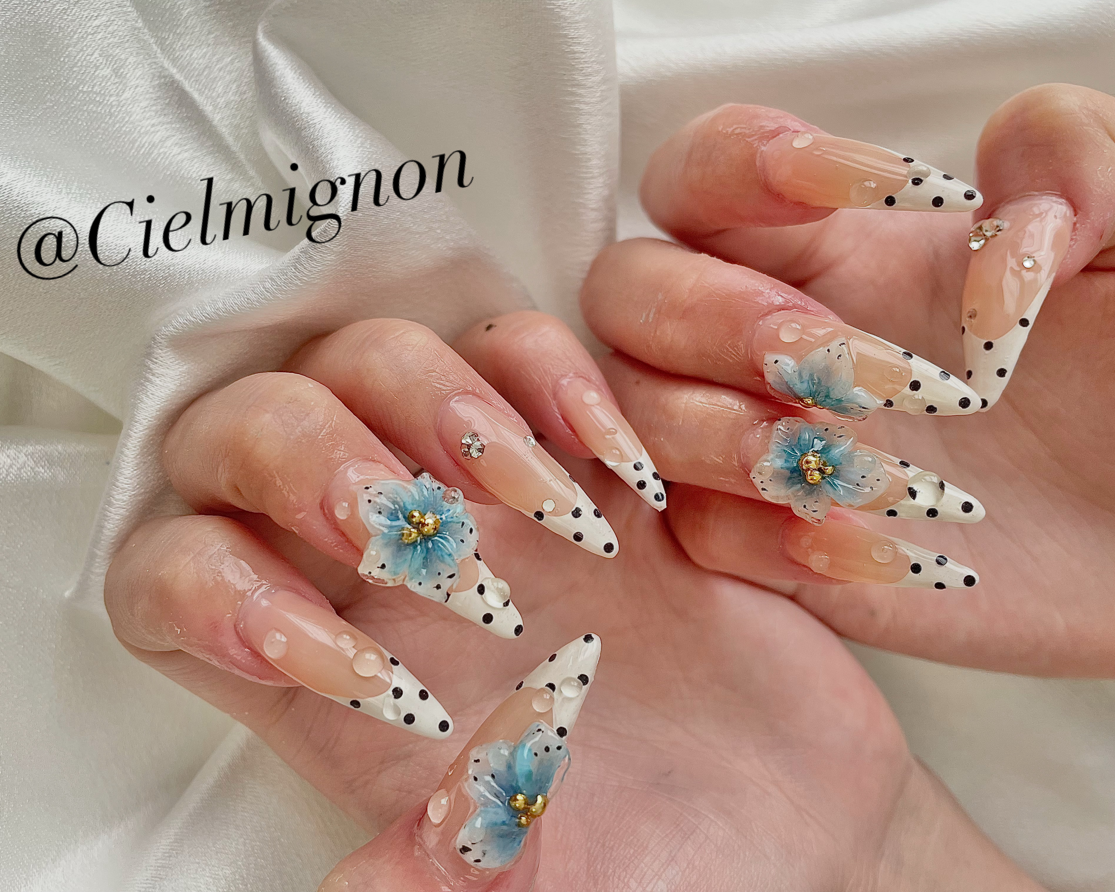 Cielmignon