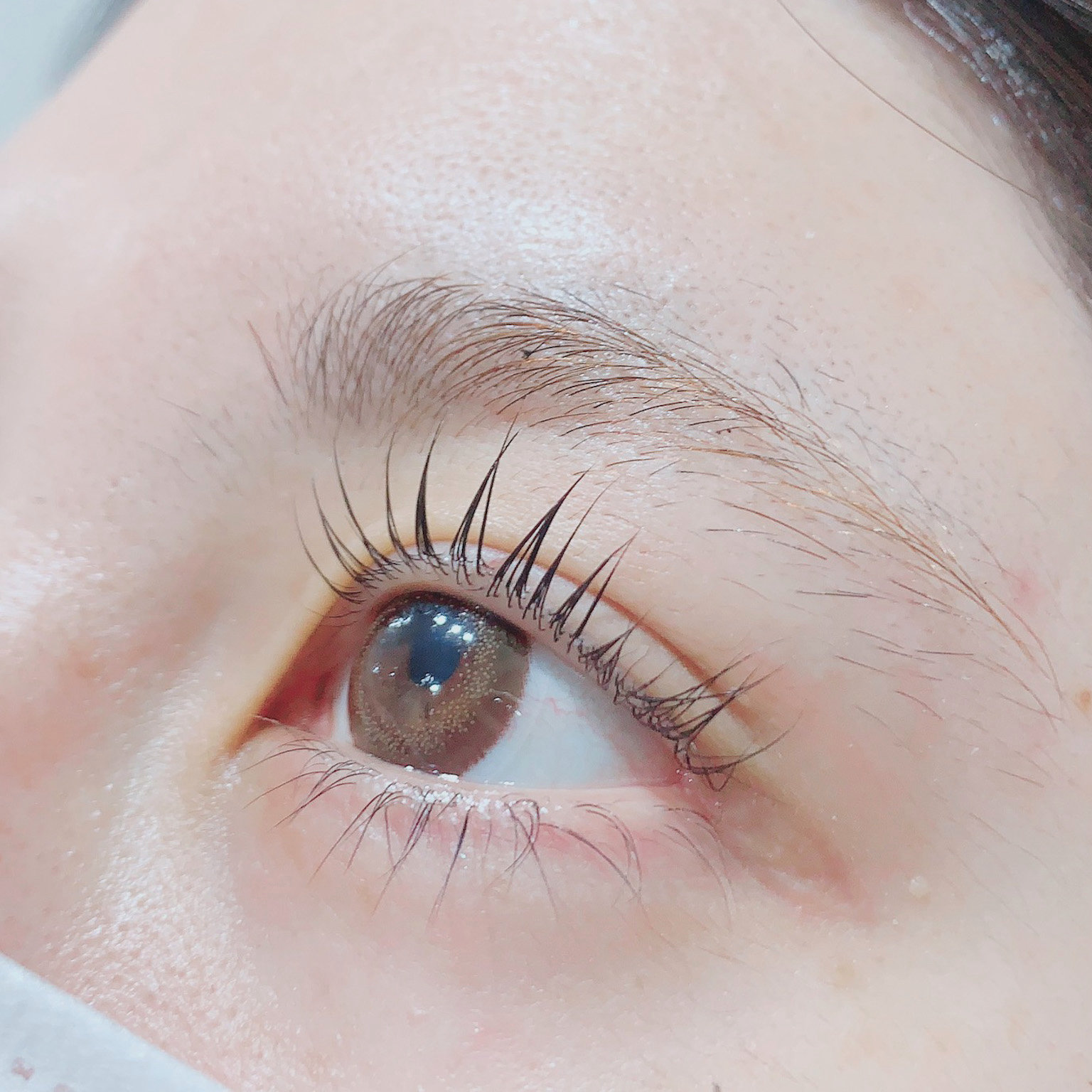 Gunji_eyelash