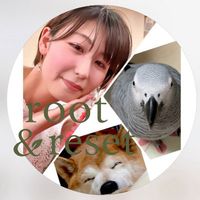 root_and_reset