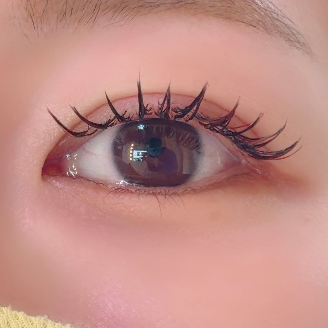 arms_lash
