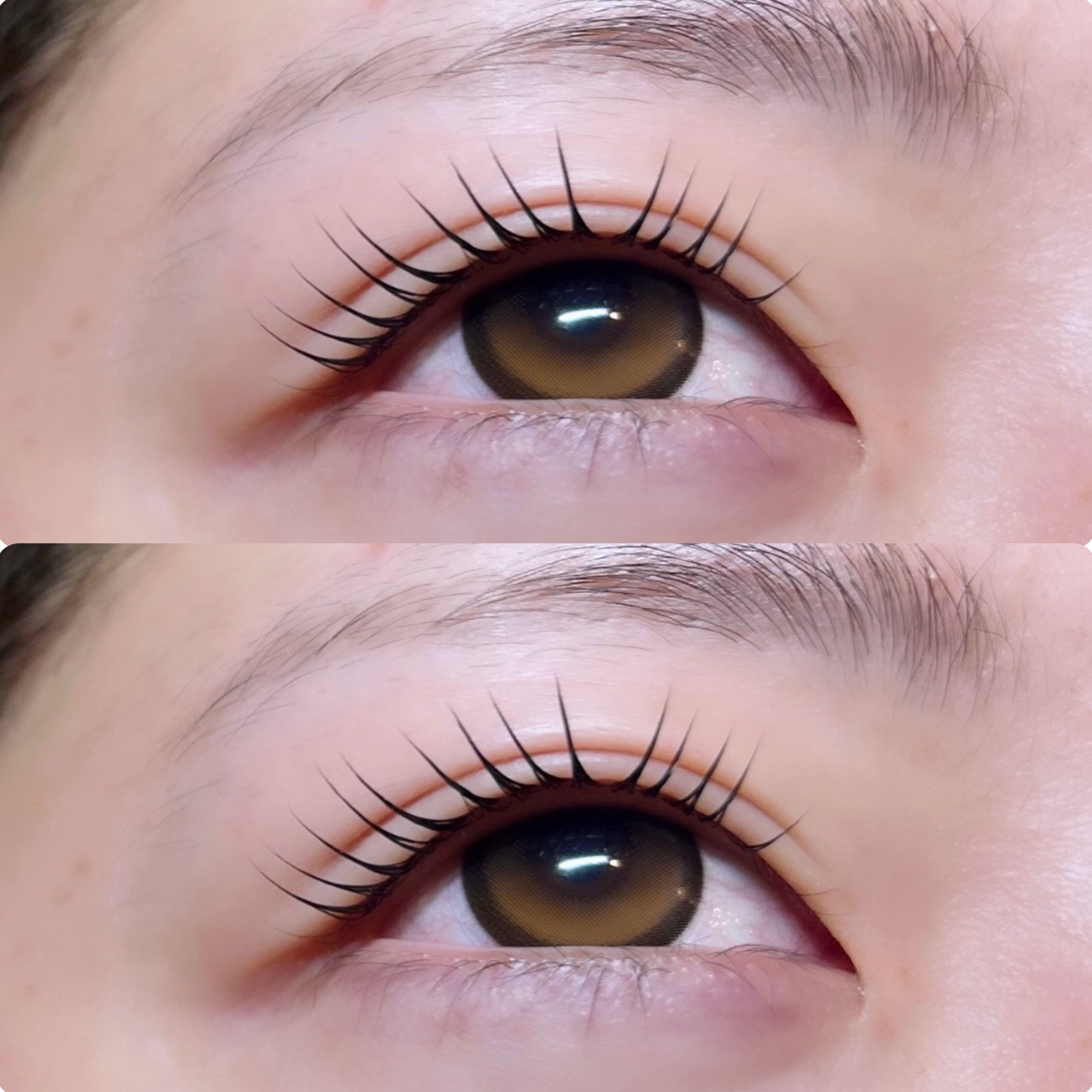 mutsuki_trueye