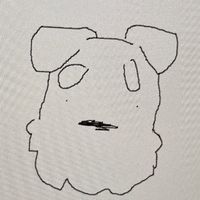 shio_hana