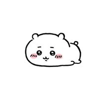 chix_xhuahua