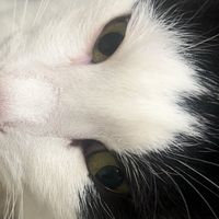 harula_1022
