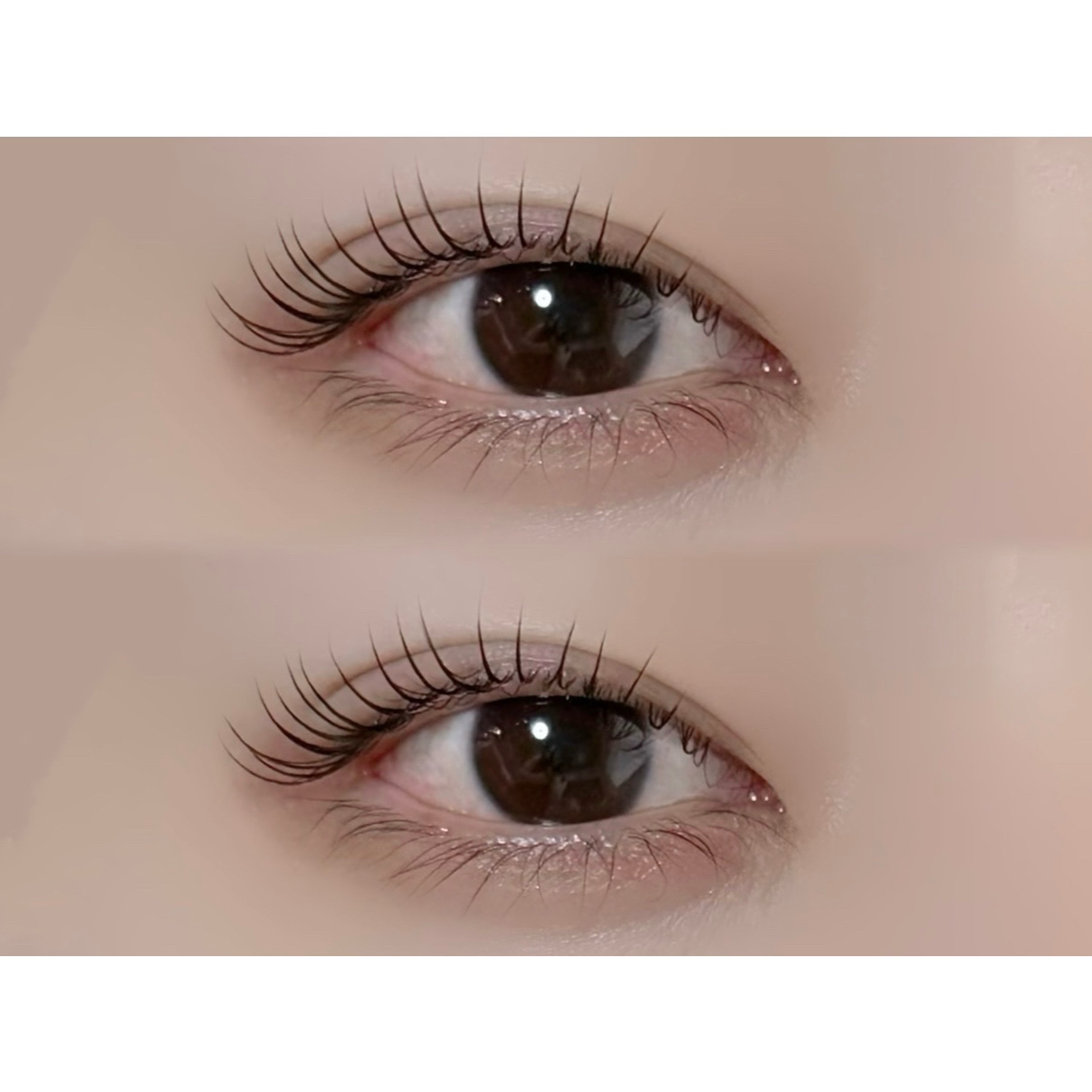 R_LASH