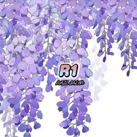 Nail_R1