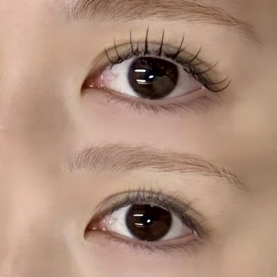🎀フラットラッシュ【60本】