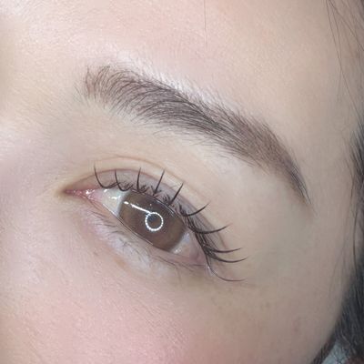 フラットラッシュ120本【オフ込み】