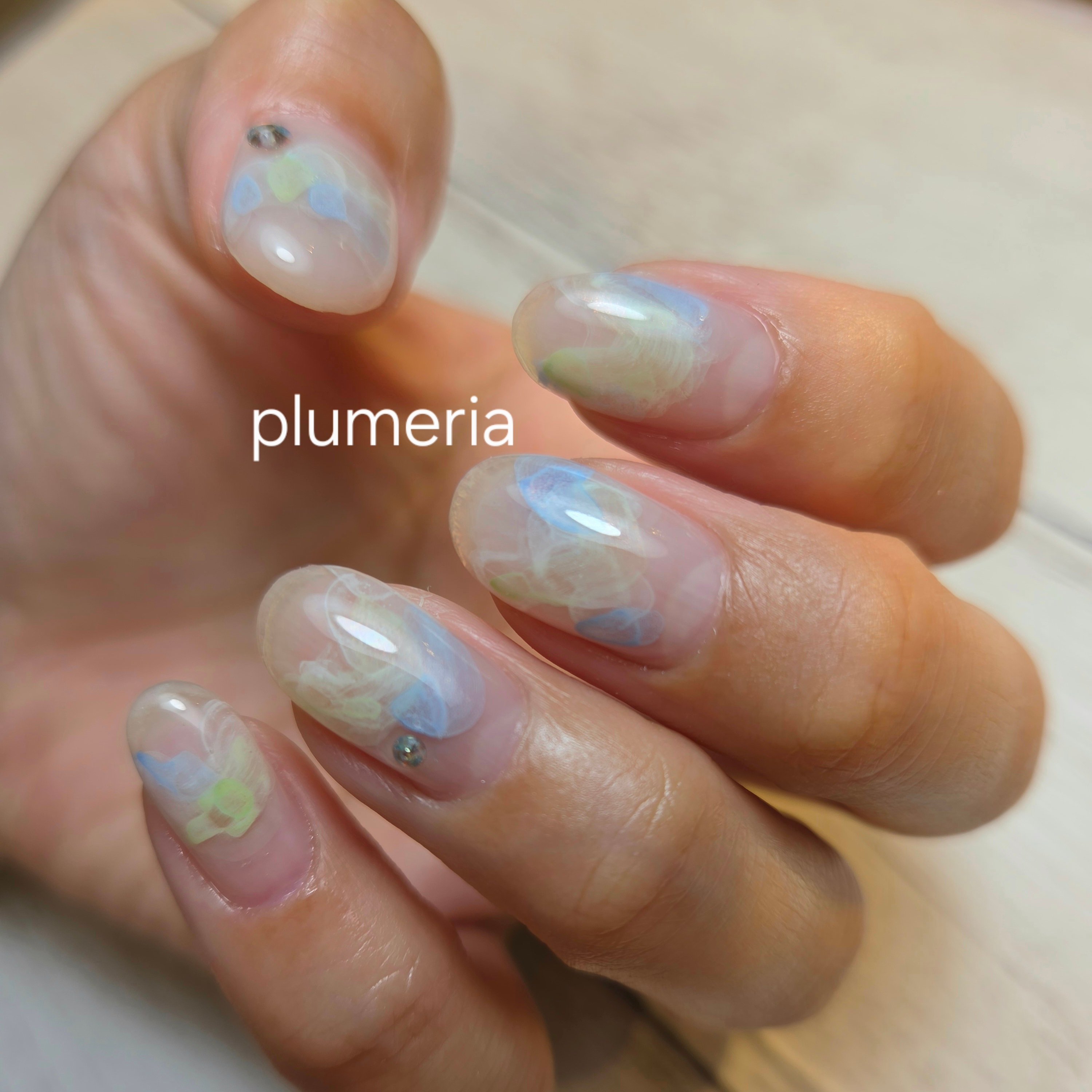 plumeria