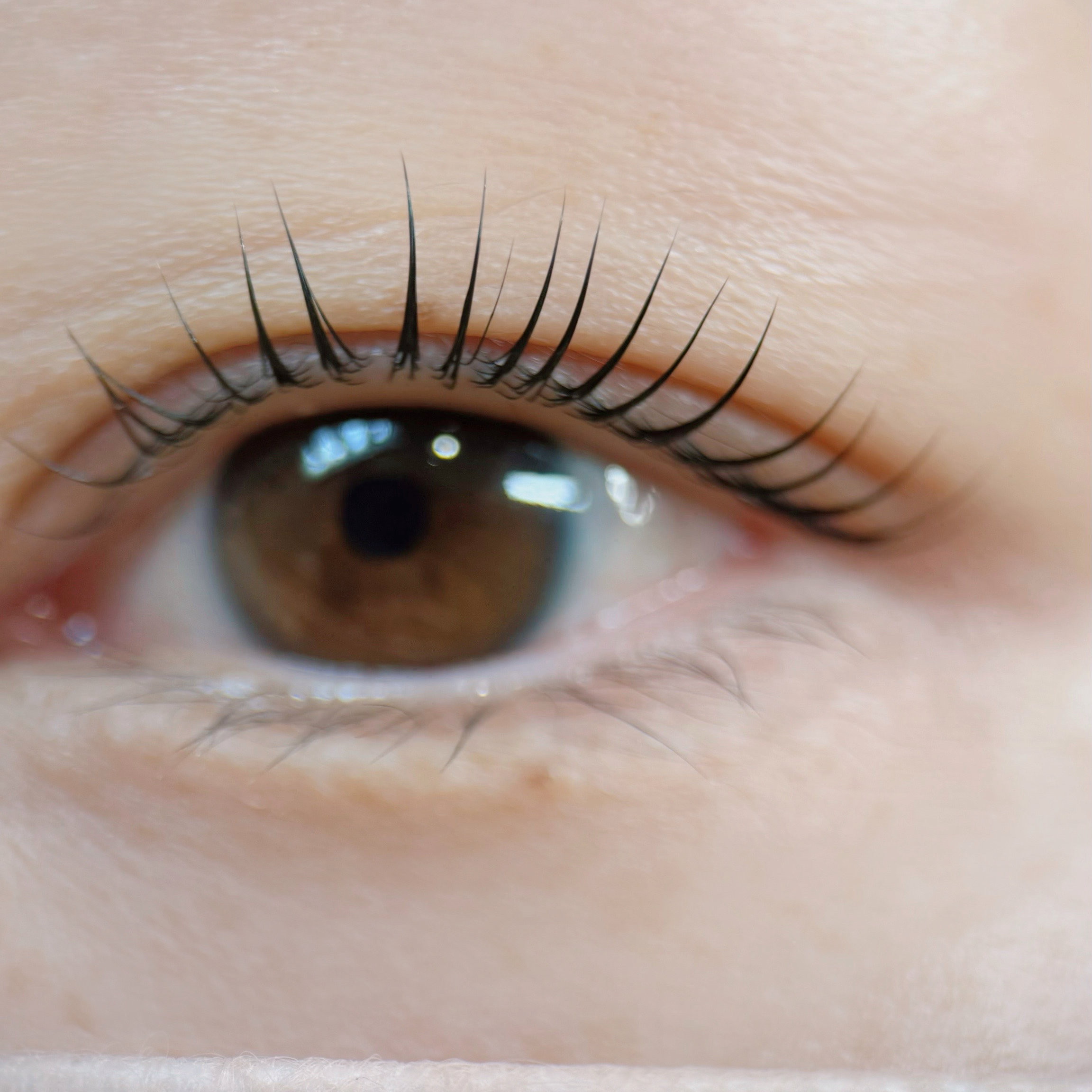 natari_.lash