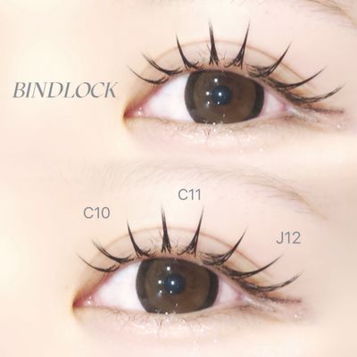 バインドロック 100束