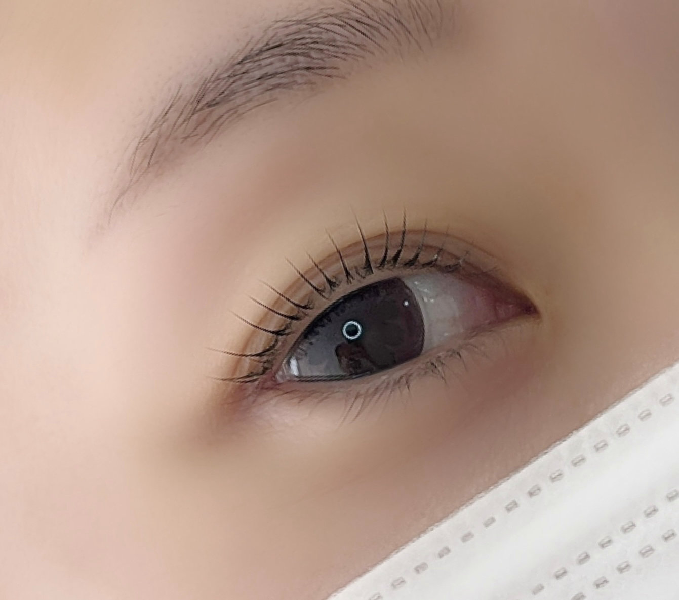 EYElashamo