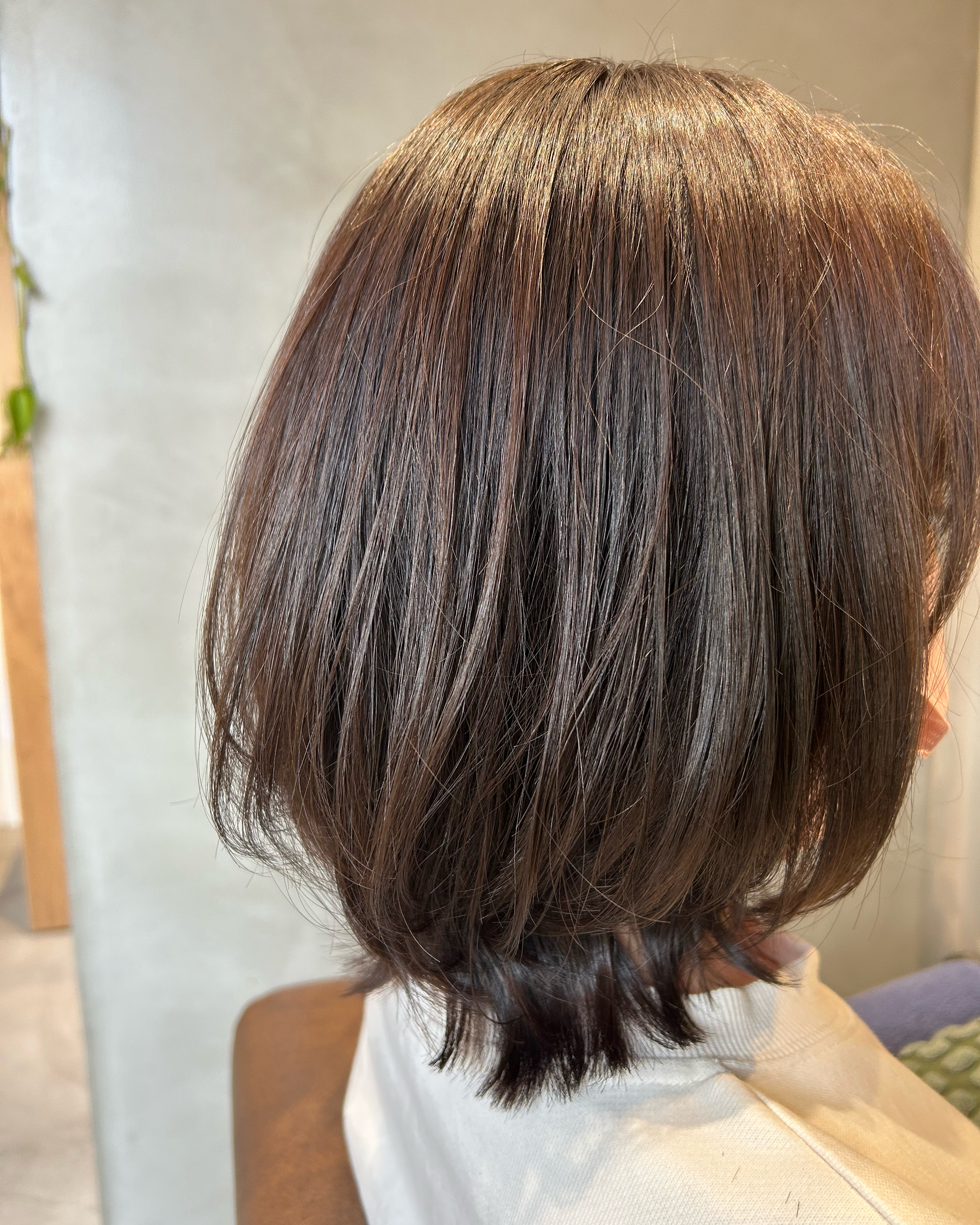 rivegauche_fujiwara