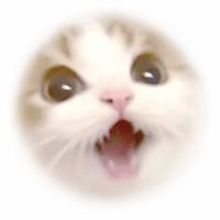 jjamppong