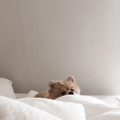 長さだし１本