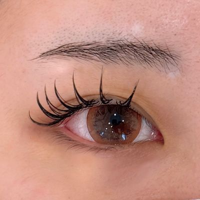 ダブルフラットラッシュ80束