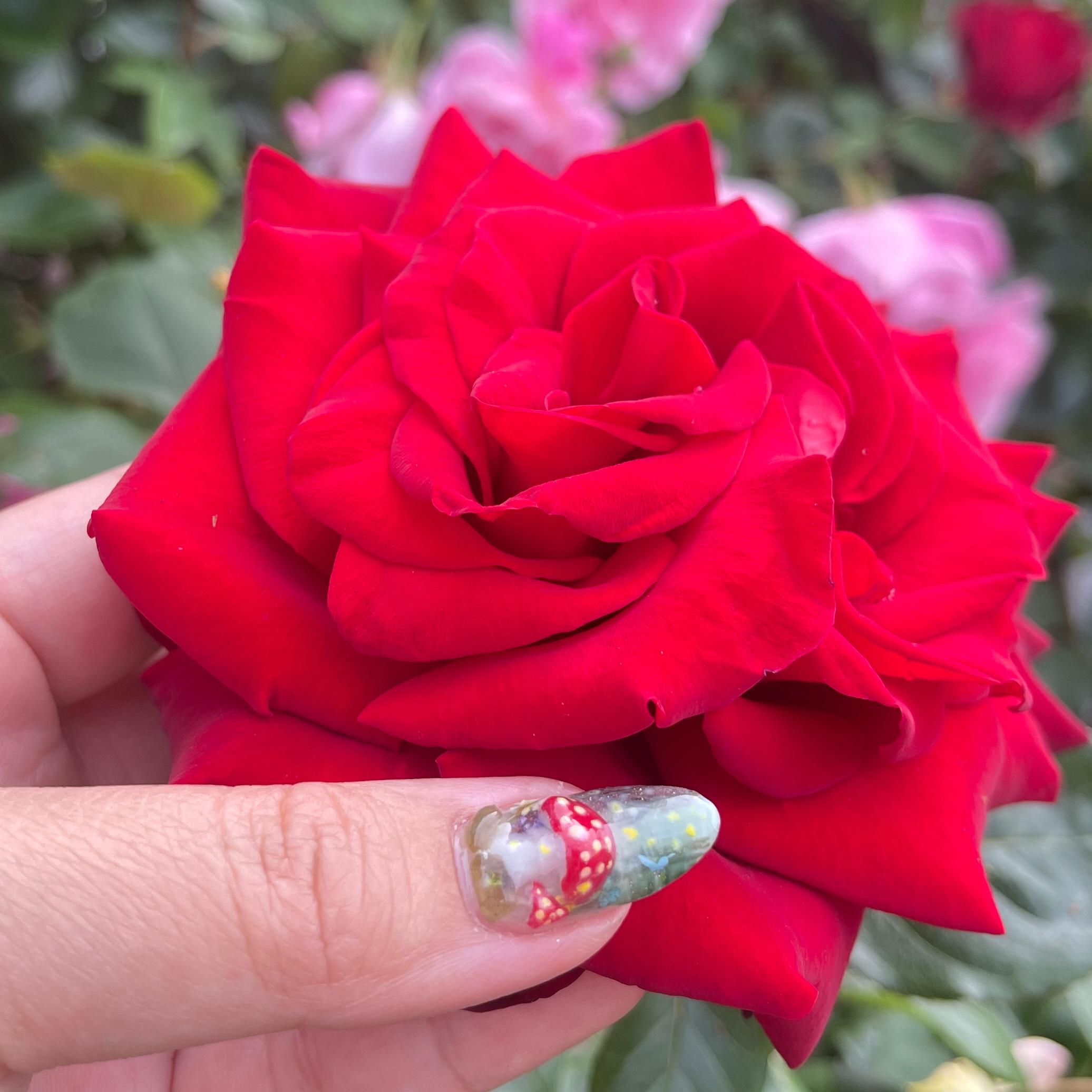 BT39_Nail