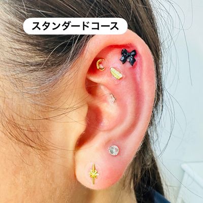 💎耳ツボジュエリー💎【スタンダードコース(両耳10粒)】