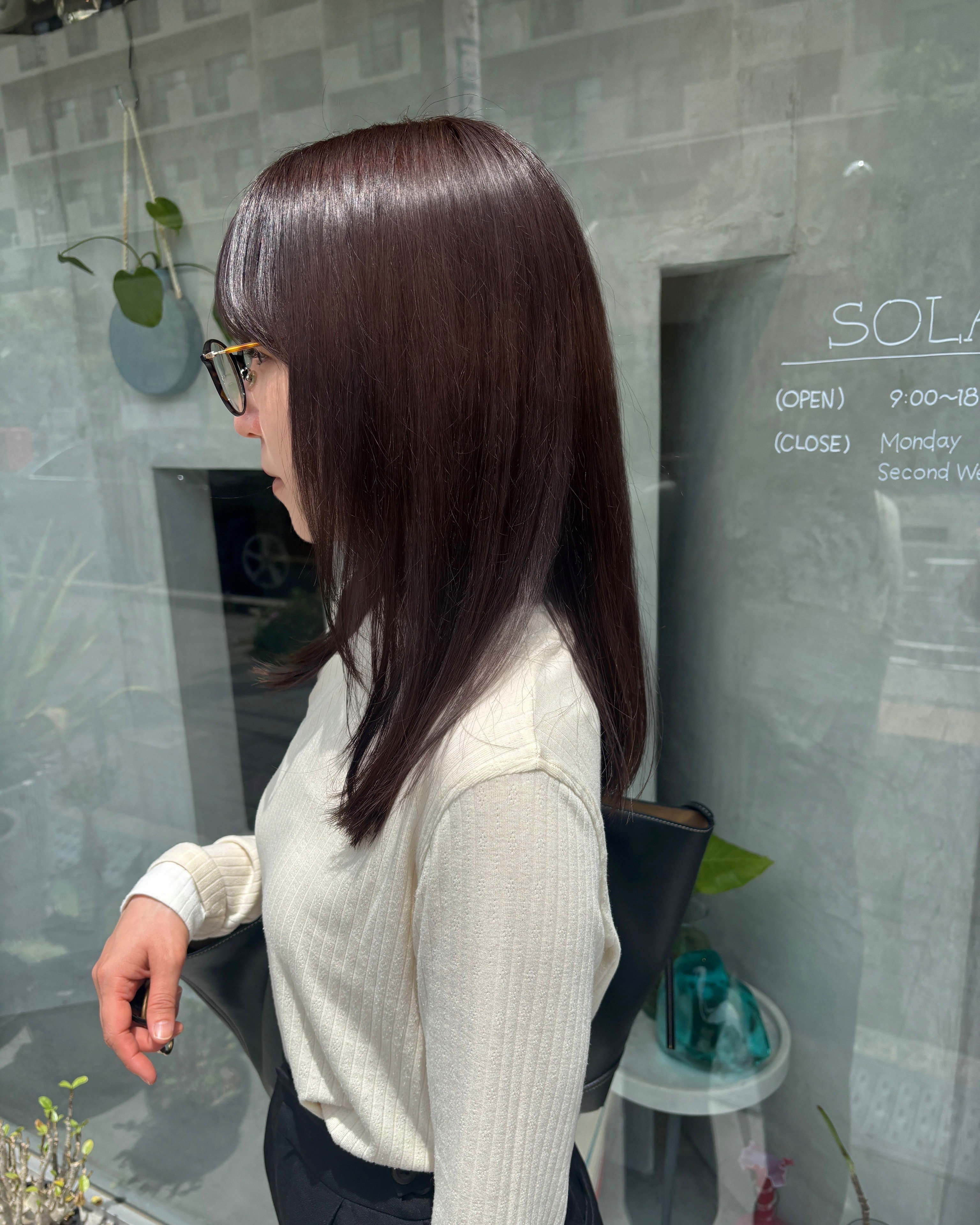 solas_miku8
