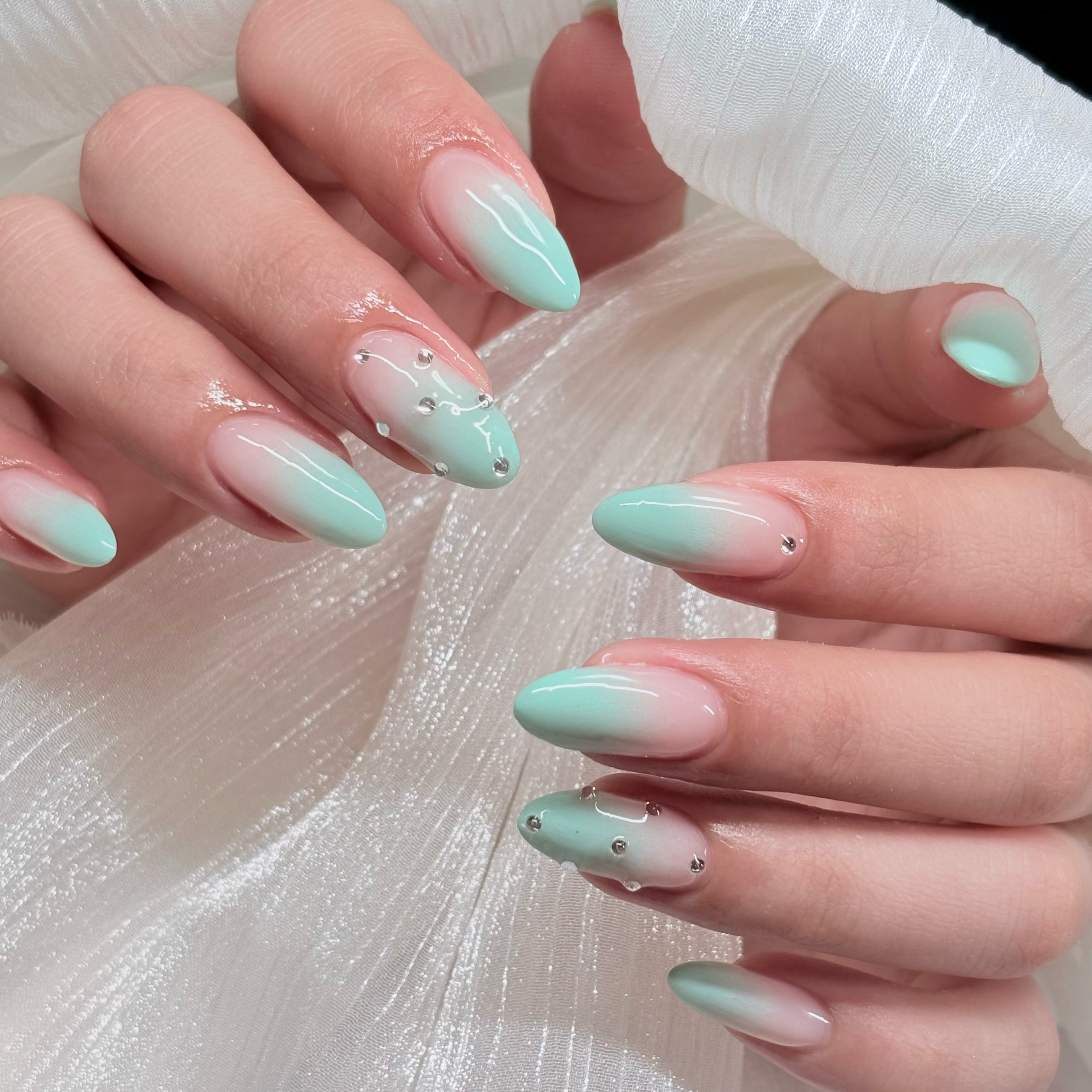 HandSnailZama