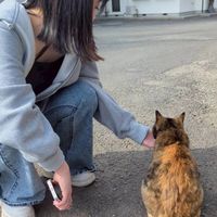 r_riiichan