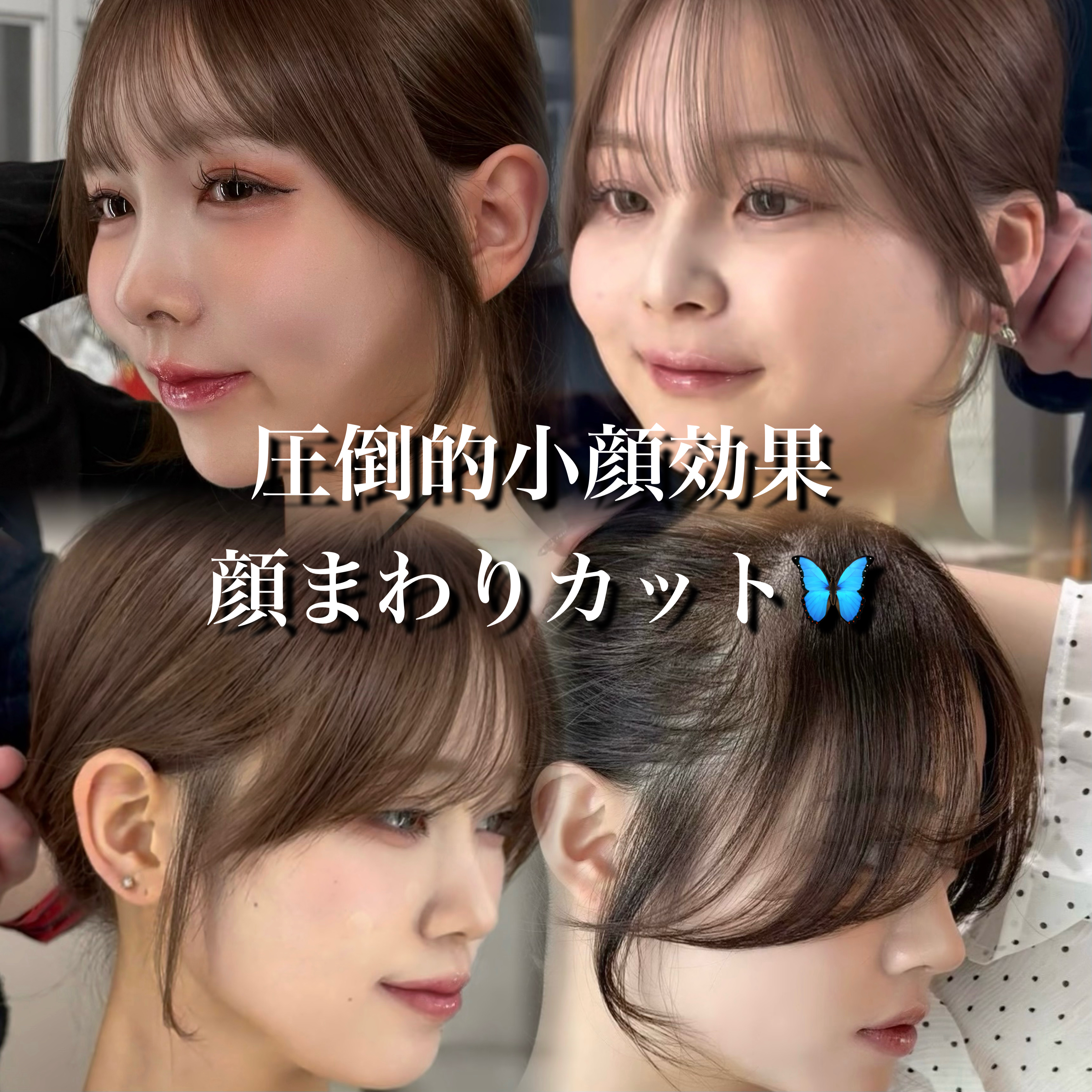 lond__kaede