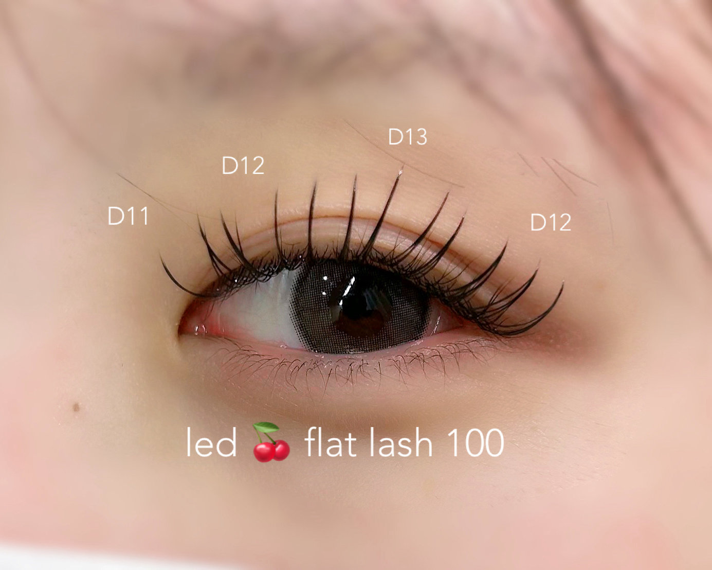 ciela_eyelash