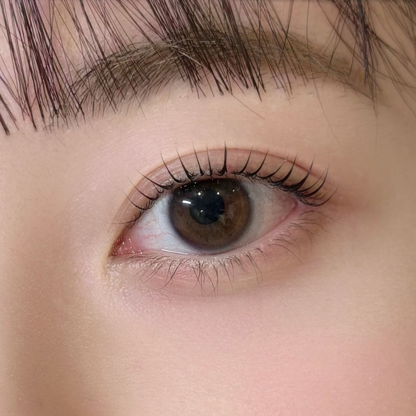 sayaka_trueye