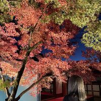 t__saki20