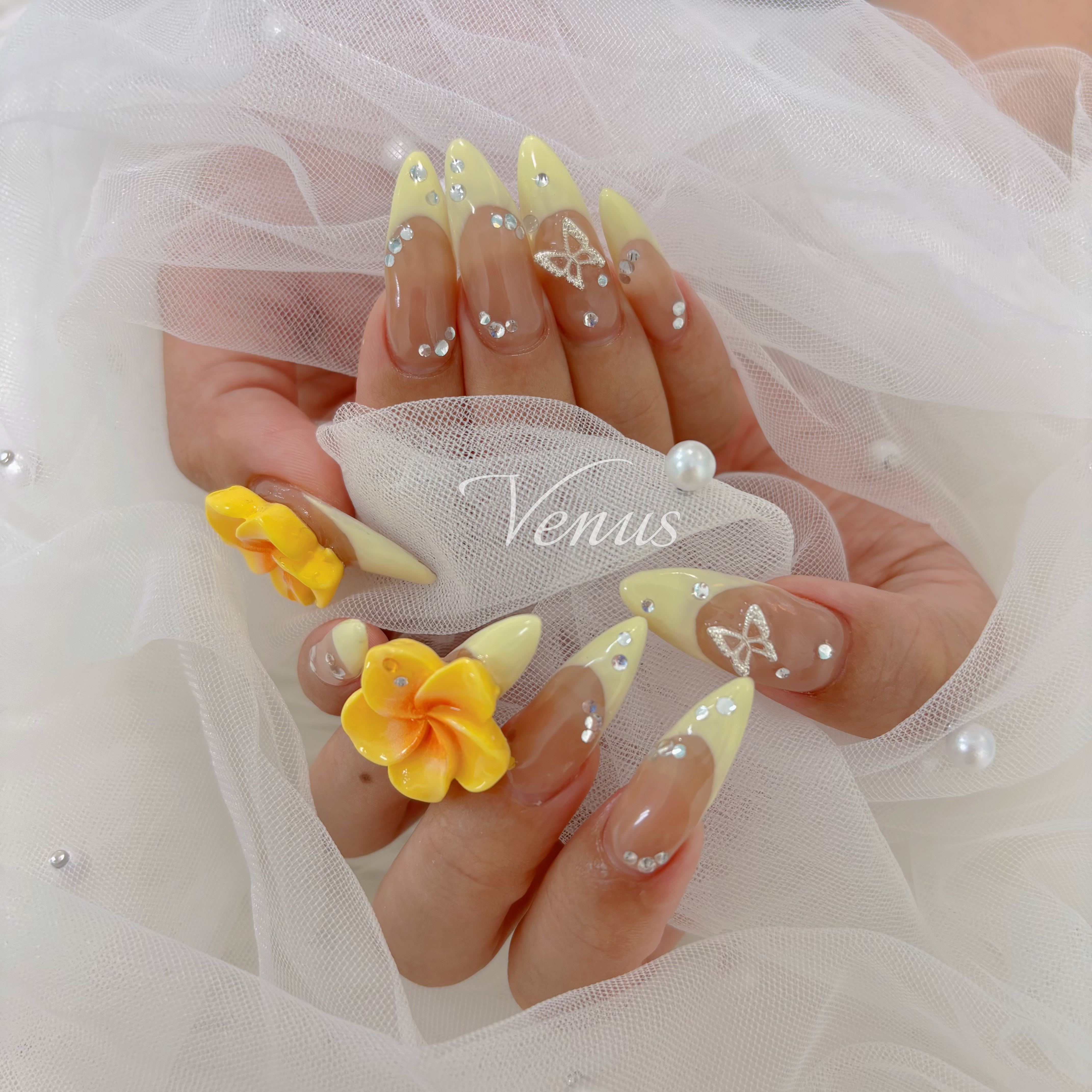 Venus_mei
