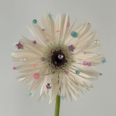 フルアート【¥10,000→¥9,500】