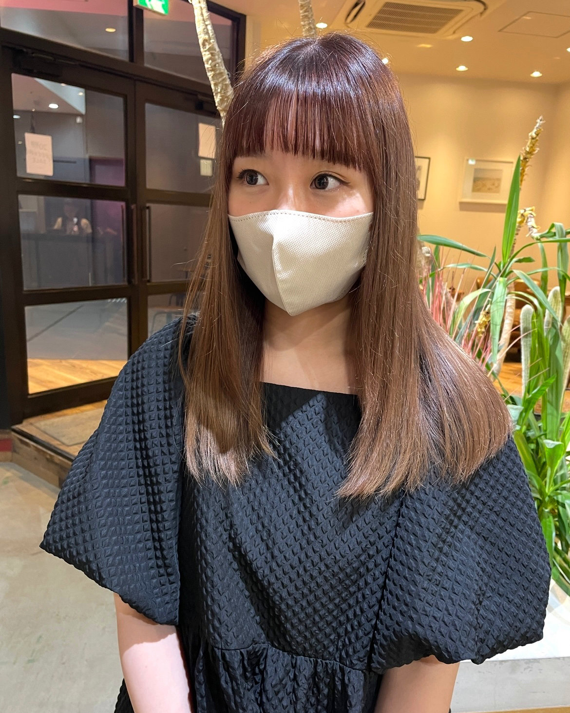 lolonoisNAGAOKA