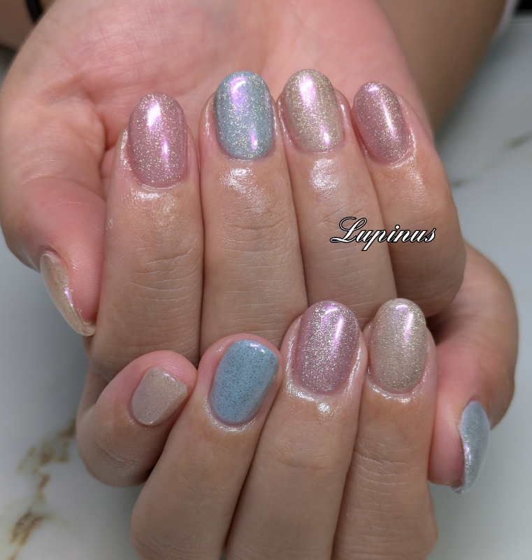 Lupinus