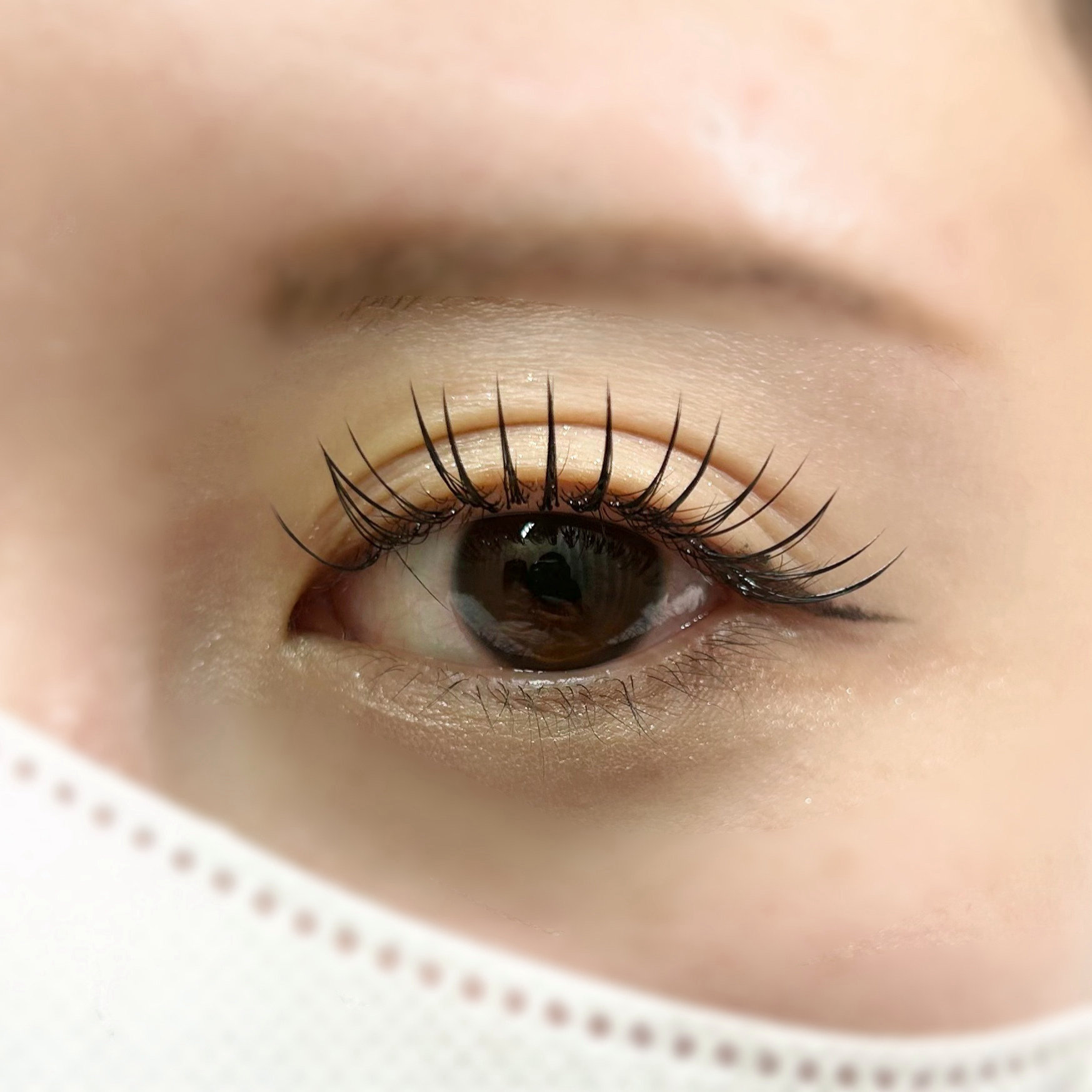 ciela_eyelash