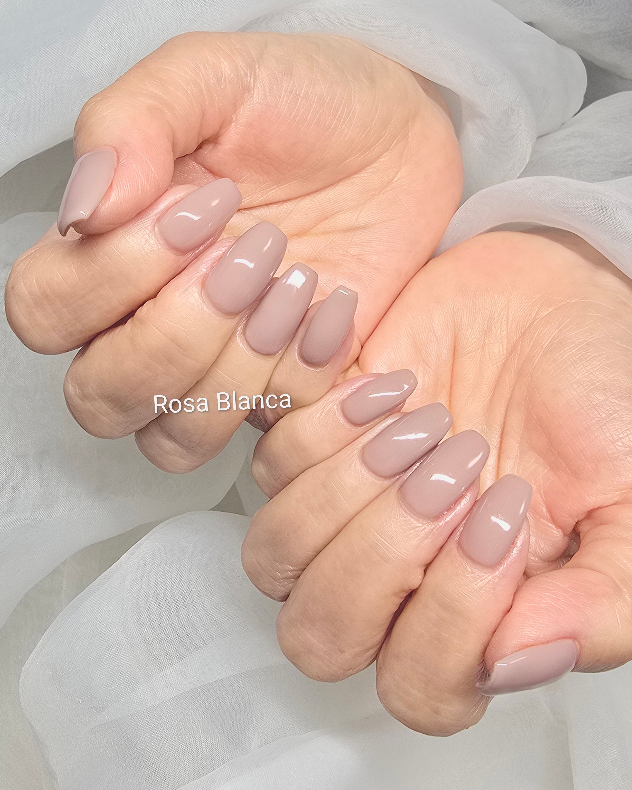 Rosa_Blanca