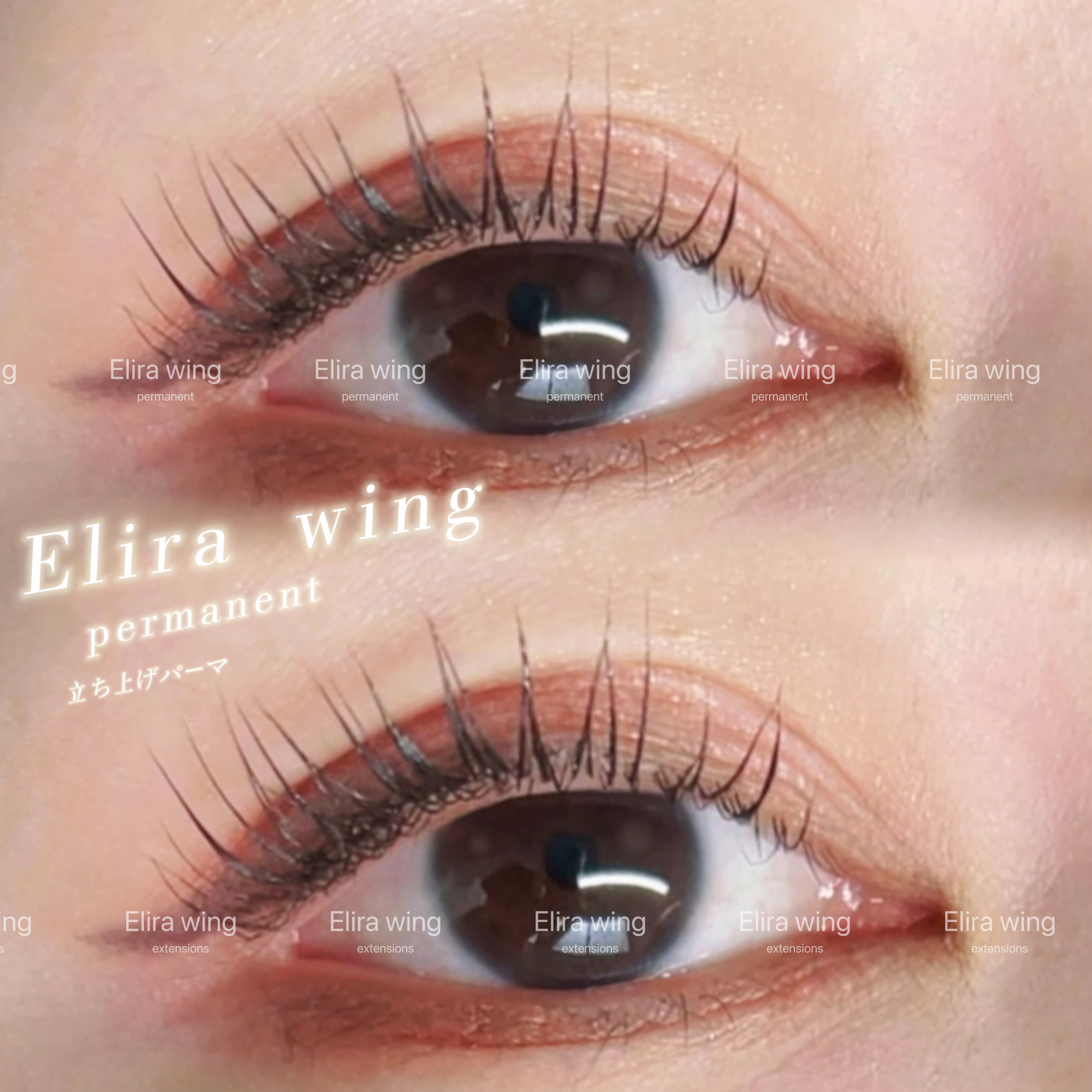 Elirawing