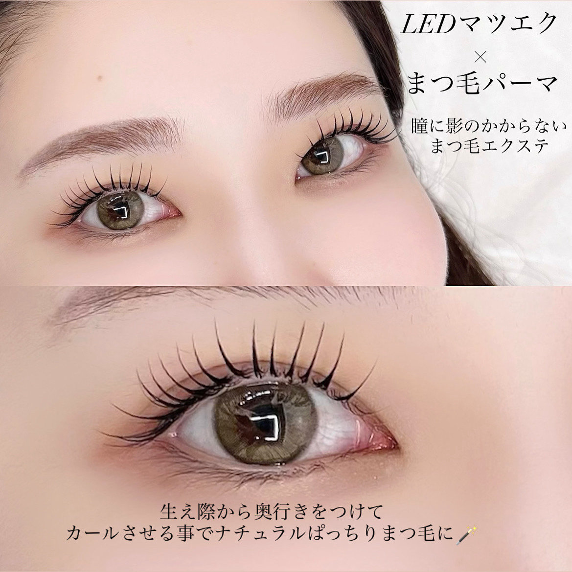 miyuki_daisy