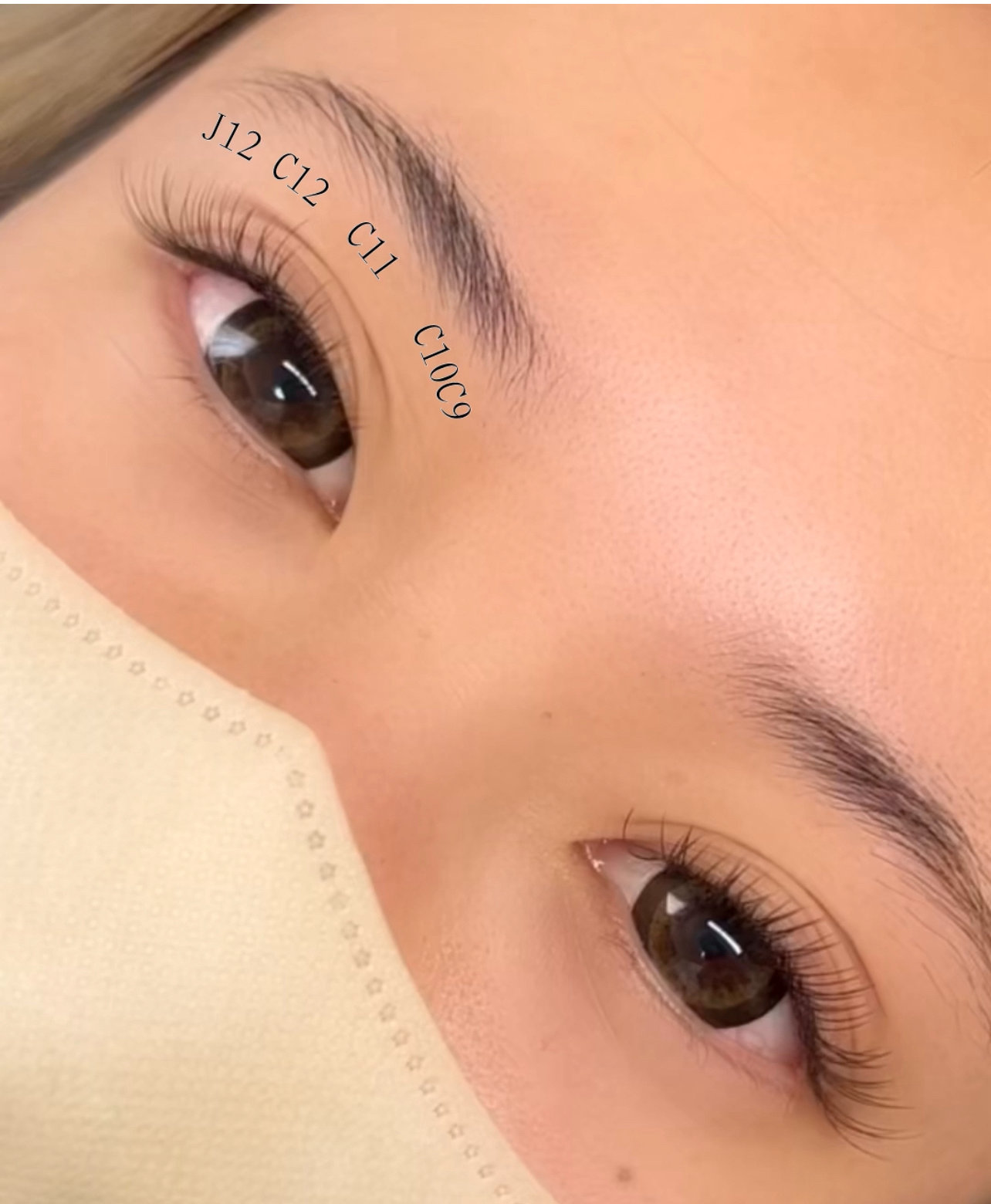 eyelash_eyebrows.funa2