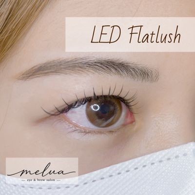 LEDフラットラッシュ120本